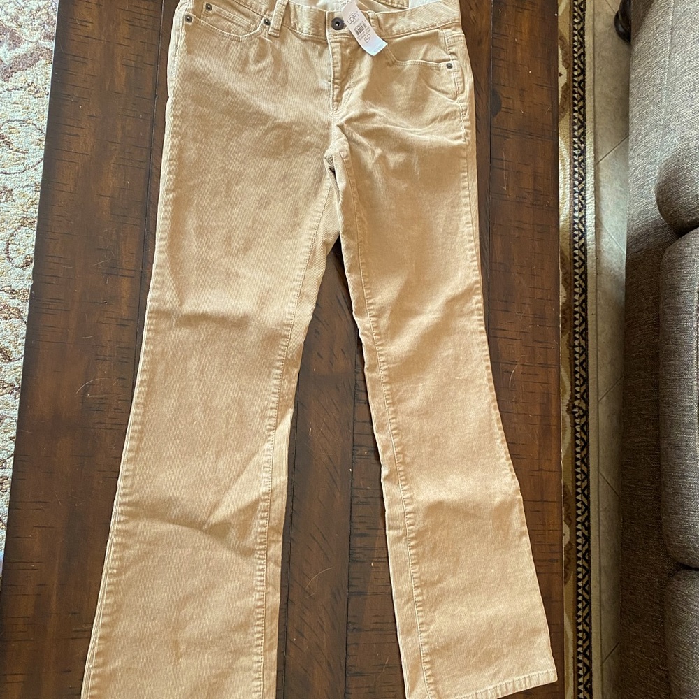 Ann Taylor Loft corduroy jeans TAN color modern boot low rise 6P